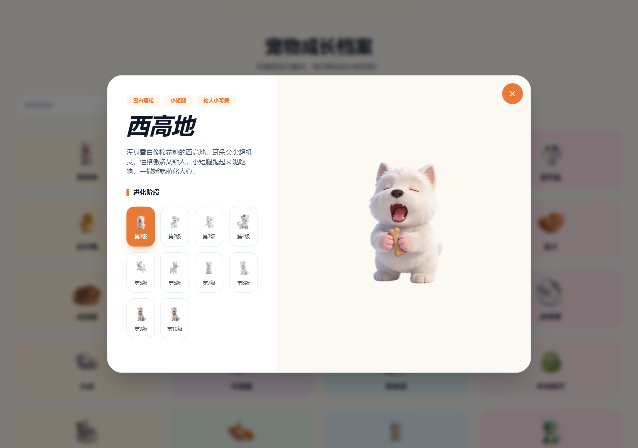 详情弹窗